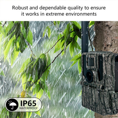 Keepguard 4G Cámaras celulares de senderos forestales de vida silvestre con control remoto APP 36MP 2K/30fps Juego salvaje