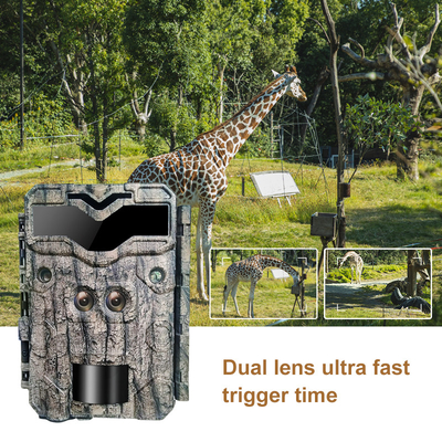 KW698A cámara de rastro de caza de vida silvestre con doble lente 2 sensores cámara de exploración 4K cámara de juego fácil de navegar fácil de usar
