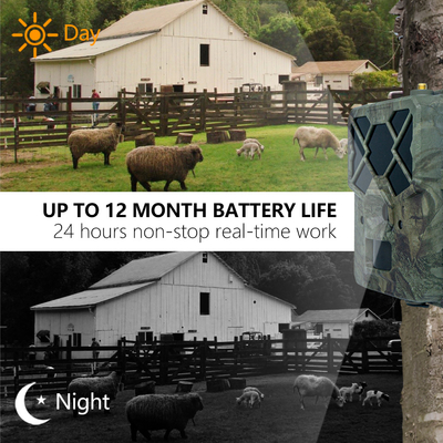 Cámara de vida silvestre KW886 rentable con control APP 4G tarjeta SIM 24MP 1080P a 30fps cámara de juego de visión nocturna IP67 impermeable