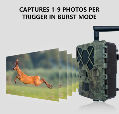 Cámara de vida silvestre KW886 rentable con control APP 4G tarjeta SIM 24MP 1080P a 30fps cámara de juego de visión nocturna IP67 impermeable