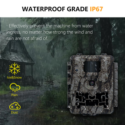 KW561 Wildlife Trail Infra Cam Mini 30MP 0.25s Velocidad Resolución de vídeo 4K Sensor CMOS a prueba de agua Memoria SD Visión nocturna