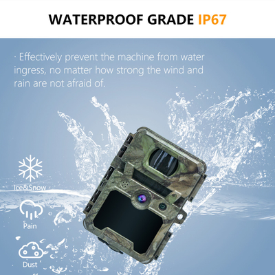 KW571 Fábrica OEM ODM Mini Wildlife Scouting Camara de rastro de tiempo de lapso IP67 Sensor CMOS sin resplandor y memoria SD Visión nocturna