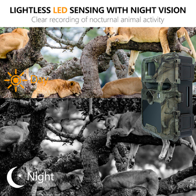 KW571 Fábrica OEM ODM Mini Wildlife Scouting Camara de rastro de tiempo de lapso IP67 Sensor CMOS sin resplandor y memoria SD Visión nocturna