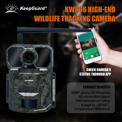 KW896 cámara de rastreo de caza de vida silvestre 4G cámara de rastreo celular fábrica-venta OEM ODM cámara de vigilancia de vida silvestre