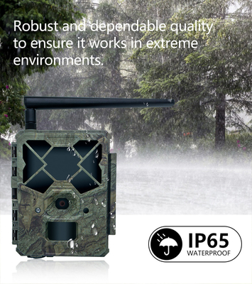 KW886 cámara de caza de senderos y bosques de vida silvestre con control APP 4G tarjeta SIM 24MP 1080P a 30 fps visión nocturna impermeable IP67