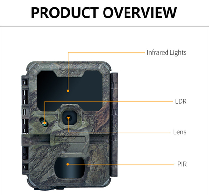KW866 WIFI Camara a prueba de agua IP67 OEM/ODM 512GB Almacenamiento Tarjeta de memoria SD 32MP 4K fácil de usar