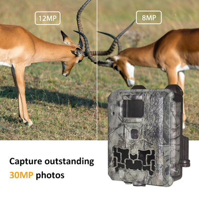 Camara de rastro de vida silvestre sin resplandor Imagen de 30MP 1080P Video a prueba de agua IP67 hasta 512GB Almacenamiento Precio competitivo Cámara de caza