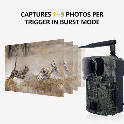 Cámara de rastreo 4G de 32MP con tiempo de disparo rápido de 0,2 s y modos Foto/Video/Foto Video para versatilidad