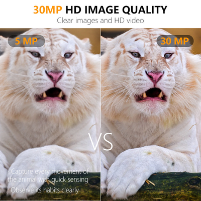 Cámaras de caza HD 30MP Cámara de camuflaje de visión nocturna con video 1080P e IP66 Accesorios de caza impermeables