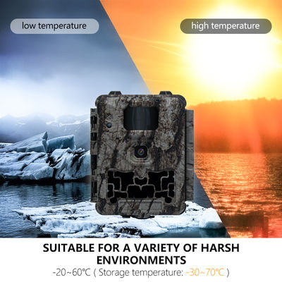 Cámara de caza profesional con corte IR automático y soporte de micro lente de 450 mm para imágenes claras y detalladas de la vida silvestre