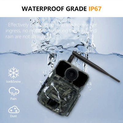 KW865 WIFI Cámara oculta Cámara de caza inalámbrica al aire libre IP67 20MP Cámara de rastro que envía imágenes a su