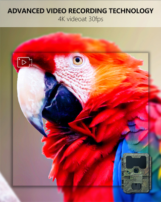 WIFI trail Camera KW866 impermeable IP67 OEM/ODM hasta 512GB Almacenamiento Tarjeta de memoria SD 32MP cámara de vida silvestre 4K