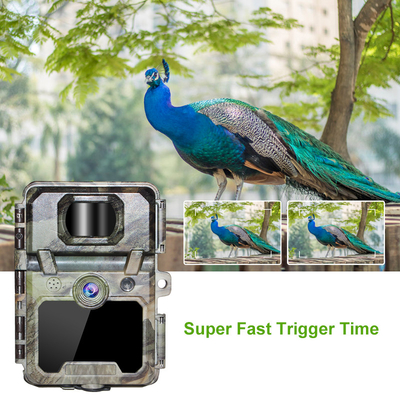 Trail Camera ODM/OEM KW571 resistente al agua IP67 Sensor CMOS sin resplandor 30MP foto 1080P 0.25s velocidad de disparo visión nocturna