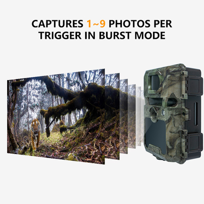 Trail Camera ODM/OEM KW571 resistente al agua IP67 Sensor CMOS sin resplandor 30MP foto 1080P 0.25s velocidad de disparo visión nocturna
