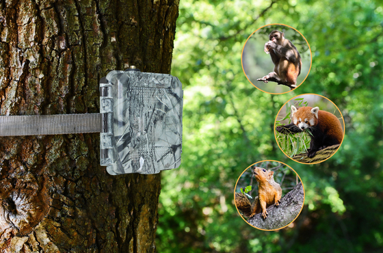 KG45 TRAMP ALARMA TRAIL CAMERA para los entusiastas de la caza Llamada para transmitir SMS respuesta rápida de alarma
