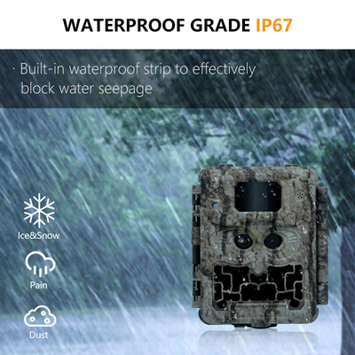 Cámara de caza KW591 sensores duales sin resplandor 1080P resistente al agua IP67 0.4s velocidad de activación hasta 512GB de almacenamiento Cámara de caza