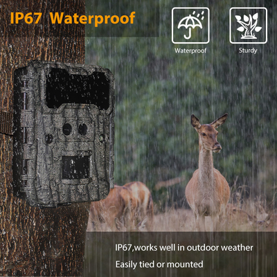 Cámara de caza al aire libre KW696 de doble lente de 30MP impermeable IP67 visión nocturna 1080p hasta 512GB de almacenamiento cámara de rastro sin brillo