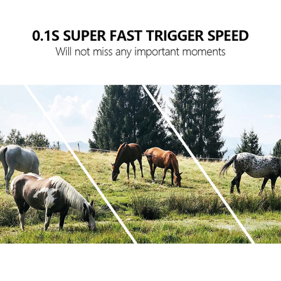 2024 más reciente cámara de prueba inalámbrica 4G OEM/ODM KW886 24MP 0.1s disparador 120ft Night Range incorporado en tarjeta SIM cámara de vida silvestre