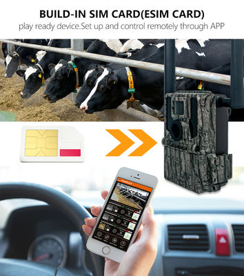 Caminos de caza y cámaras Panel solar 4G Cámara inalámbrica KW897 con doble antena 100 pies Rango nocturno 36MP Video 2K a 30fps