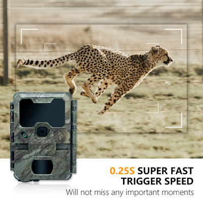 Cámara de caza KW788 impermeable IP65 vídeo 4K con 30fps 32MP 0.25s velocidad de disparo hasta 512GB de almacenamiento para la investigación de la vida silvestre