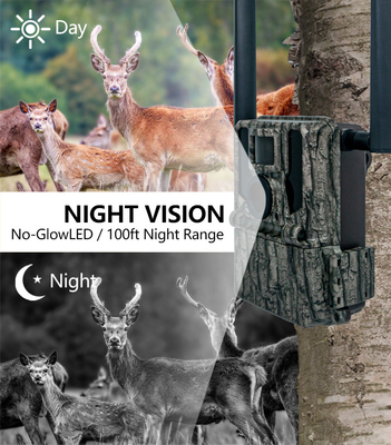 4G inalámbrico 2024 La cámara de rastro más reciente KW897 con doble antena visión nocturna 36MP 2K video para el tiro de buck
