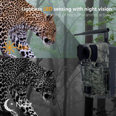 4G cámara de búsqueda de caza KW895 con APP 2K FHD Video 30MP de imagen impermeable IP67 hasta 512GB de almacenamiento para la investigación de la vida silvestre