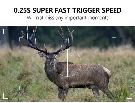 Cámara de rastro KW866 con conexión WIFI 0,25s velocidad de disparo IP67 a prueba de agua hasta 512GB Almacenamiento 32MP 4K a 30fps para el buck shot