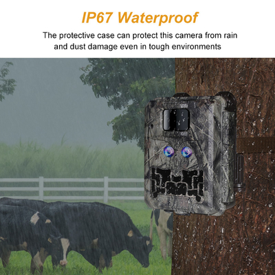 Cámara oculta con doble lente KW591 impermeable IP67 30MP 1080P 0.4s Visión nocturna hasta 512GB para investigación de vida silvestre