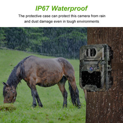 Cámaras de caza HD personalizables para el rastreo de vida silvestre con soporte para tarjetas de memoria de 512 GB