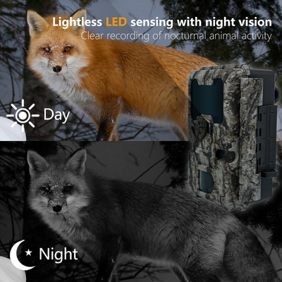 Cámara de caza con conexión WIFI KW865 impermeable IP67 IR rango de flash hasta 82 pies visión nocturna 20MP/1080P para observación de la vida silvestre