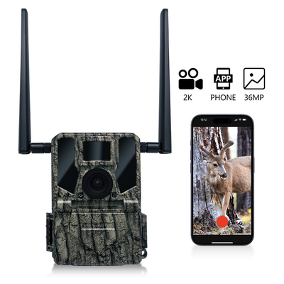 Cámara de caza inalámbrica celular 4G KW897 incorporada en tarjeta SIM 36MP captura video 2K con 30 fps con antenas dobles para la vida silvestre