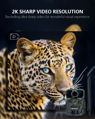 Cámara de rastreo 4G a prueba de agua IP65