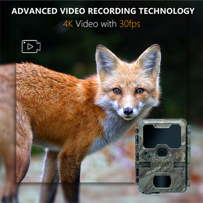 Camara de rastreo con tamaño pequeño KW788 0.1s Respuesta 32MP imagen nítida 4K Video a prueba de agua IP67 hasta 512GB para observación de vida silvestre