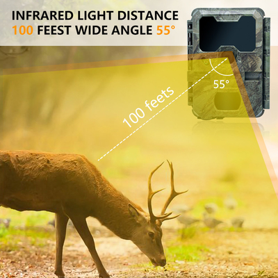 Camara de rastreo con tamaño pequeño KW788 0.1s Respuesta 32MP imagen nítida 4K Video a prueba de agua IP67 hasta 512GB para observación de vida silvestre
