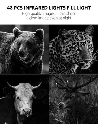 Experimenta un rendimiento inigualable con la cámara 4G Trail La solución perfecta para el monitoreo de la vida silvestre