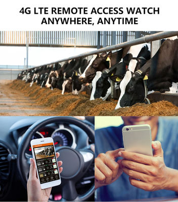 Experimenta un rendimiento inigualable con la cámara 4G Trail La solución perfecta para el monitoreo de la vida silvestre