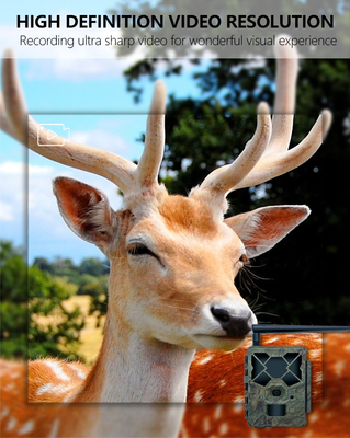 Game&trail Camera 4G KW886 con antena Cámara de caza rentable 24MP 1080P de visión nocturna 0.1s Tiempo de respuesta Cámara de juego