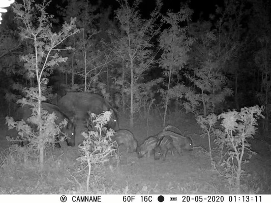 Cámara de juegos KW571 con impermeable IP67 Sensor CMOS sin resplandor 30MP foto 1080P 0.25s velocidad de disparo visión nocturna