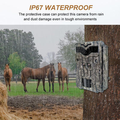 Cámaras de caza HD Keepguard con doble lente de 32MP sin resplandor Cámara de rastro LED 1080P de visión nocturna Cámara de juego de caza para vida silvestre