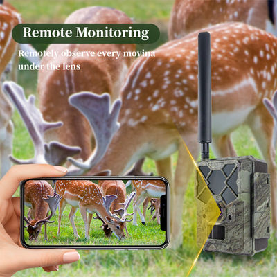 Cámara de caza 4G controlada a distancia KW886 con capacidad de video 1080p y alcance nocturno de 120 pies