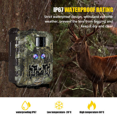 Promoción de ventas 39USD Dual lente/dual sensor Wildlife Game Camera 30MP 1080P Sin resplandor 940nm con sensor de día y noche