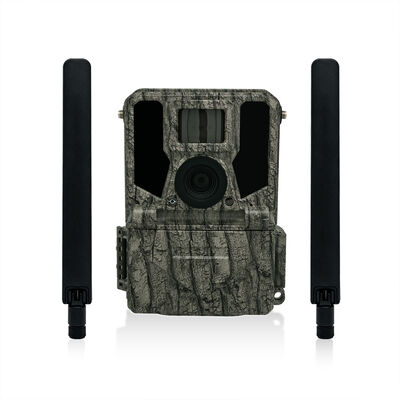 Cámara de rastro 4G que ofrece opciones de montaje versátiles y carcasa resistente a la intemperie, perfecta para tareas de monitoreo en exteriores