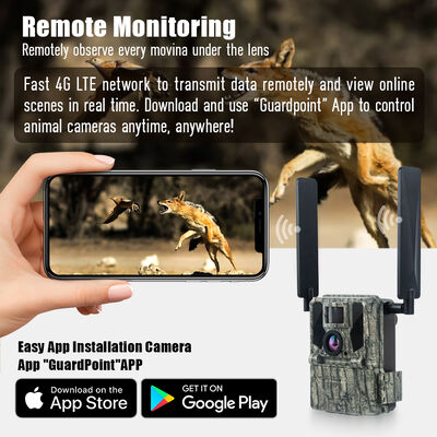 Cámara de rastro 4G con capacidad de visualización remota y carcasa robusta diseñada para capturar imágenes detalladas en ubicaciones remotas
