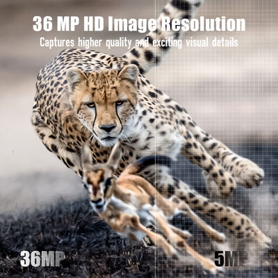 Cámara de rastro 4G con capacidad de visualización remota y carcasa robusta diseñada para capturar imágenes detalladas en ubicaciones remotas