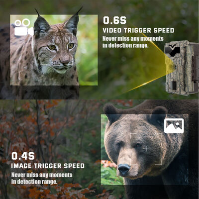 Cámaras de caza HD compactas que ofrecen imágenes de alta resolución y grabación activada por movimiento para vigilancia al aire libre
