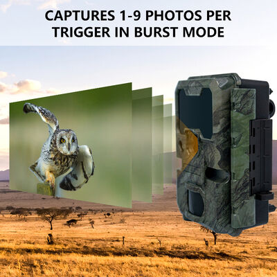 Cámara de caza LCD de 2 pulgadas de 110 × 97 × 66 mm adecuada para la observación profesional de animales al aire libre