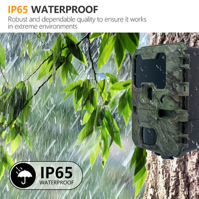 Cámara de caza LCD de 2 pulgadas de 110 × 97 × 66 mm adecuada para la observación profesional de animales al aire libre