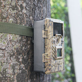 Las baterías actuaron la vigilancia video del rastro animal infrarrojo de la cámara de la fauna de Digitaces no inalámbrica