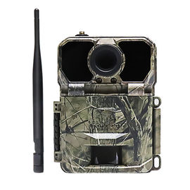 16MP Wildlife Photography Camera, cámara al aire libre de la fauna del IR LED de la noche