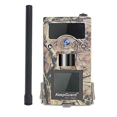 Reproducción de vídeo audio programable de la cámara del rastro de 12MP 8MP los 5M 3M Night 3G